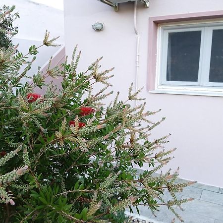 Andros Lighthouse Apartments Mesaria  Zewnętrze zdjęcie