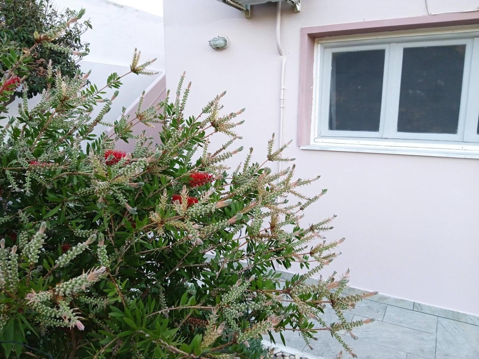 Andros Lighthouse Apartments Mesaria  Zewnętrze zdjęcie